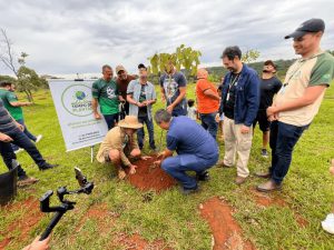 DF celebrou o Dia de Plantar com ações de reflorestamento em parques ecológicos