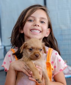 Novo cenário, novas pegadas e matchs incríveis: 2025 chegou com tudo no ParkPets