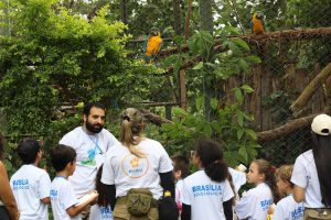 Colônia de Feras do Zoológico é opção de diversão e aprendizado para a criançada nas férias