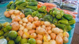 Alimentação saudável pode ajudar em problemas de saúde mental