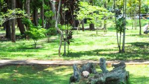 Unidades de conservação ambiental são objeto de pesquisa da UnB