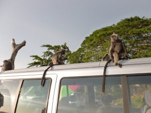 Transporte clandestino: um risco para a segurança e um canal para crimes