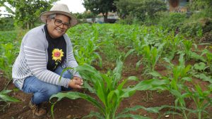 Programa de agricultura urbana estimula produção de baixo custo e contribui com segurança alimentar do DF