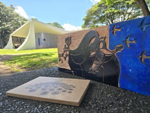 Lançamento do livro “Brasilinda” presta homenagem à capital federal
