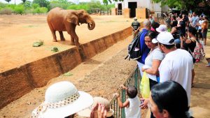 Zoológico de Brasília terá entrada gratuita para mulheres no próximo sábado (8)