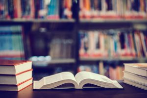 21/03, Dia Mundial da Poesia: obras e autores brasileiros para despertar o gosto da leitura em crianças e adolescentes