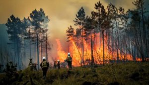 Distrito Federal declara estado de emergência ambiental para combater incêndios florestais