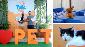 Parkpets: amor à causa animal e finais felizes