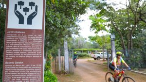 Com acesso gratuito aos domingos, Jardim Botânico e Zoológico são os destaques da agenda cultural