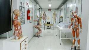 Cursos de enfermagem e medicina da Escs obtiveram nota máxima no Enade 2023