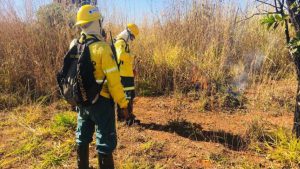 DF ganha lei que amplia ações de prevenção e combate aos incêndios florestais