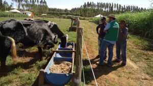 Emater-DF celebra 47 anos de dedicação ao desenvolvimento rural do Distrito Federal
