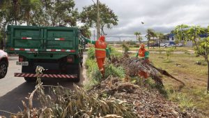 Mutirões retiram mais de 19 mil toneladas de entulho em 25 cidades do DF