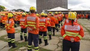 GDF lança Operação Verde Vivo para reforçar combate a incêndios florestais