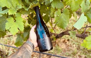 Quatro Altitudes, da Casa Vitor, é o melhor Syrah do Brasil