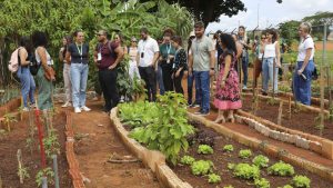 Visitas técnicas reconhecem boas práticas de segurança alimentar no DF