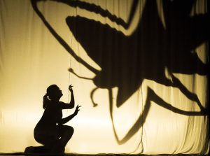 Cia Lumiato oferece Oficina de Teatro de Sombras no Gama e em Ceilândia