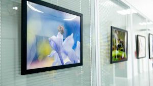 Espaço Qualidade de Vida do GDF recebe exposição ‘Insetos em Macrofotografia’