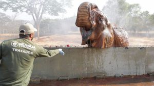 Lazer para Todos reuniu quase 40 mil visitantes no Zoológico e Jardim Botânico nos últimos três domingos