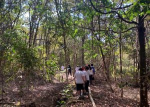 Como o professor pode estimular os alunos a preservar o meio ambiente por meio de projetos e iniciativas pedagógicas sustentáveis