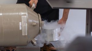 Escola de Sabores Oscar realiza aula show e conecta ciência à gastronomia