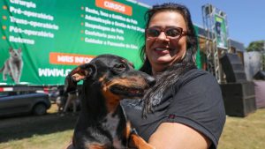 Abertas mil vagas para castração gratuita de cães e gatos em Sobradinho