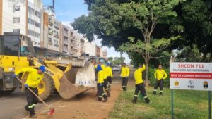 Mais de 30 toneladas de lixo verde são retiradas por dia no Plano Piloto
