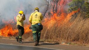 Edital lançado pela UnDF incentiva soluções tecnológicas para prevenção de incêndios
