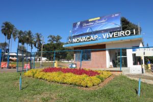 Projeto do GDF oferece capacitação em jardinagem para a comunidade