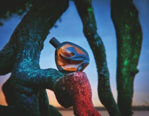 Na semana do Meio Ambiente, venda de produtos Natura Ekos financia apoio a pessoas mais afetadas por eventos  climáticos extremos