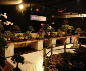 Festival do Japão em Brasília celebra 13 anos e fortalece o turismo cultural