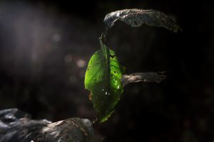 Exposição “Nada Sobre Nós, Sem Nós” destaca protagonismo de pessoas com deficiência no Festival Mês da Fotografia, no Museu da República