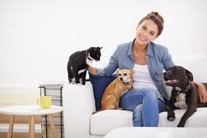Mais da metade dos domicílios do DF tem animal de estimação