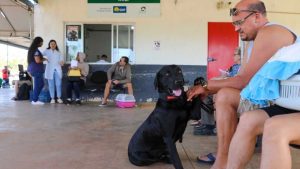 Hospital Veterinário Público do DF registra cerca de 10 mil atendimentos no primeiro semestre de 2025