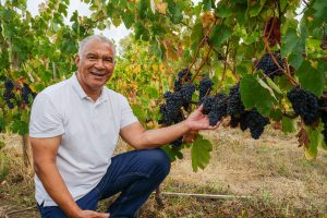 Sabores do Enoturismo estreia em Brasília com vinhos portugueses premiados e programação cultural imperdível