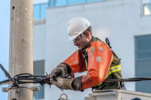 Jardim Botânico terá desligamento temporário de energia elétrica nesta quinta-feira (17)