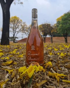 Oma Sena cria vinho para receber a tão esperada chuva