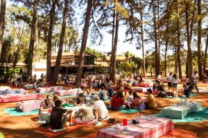 Cinema inclusivo e arte indígena movimentam a programação cultural do fim de semana no DF