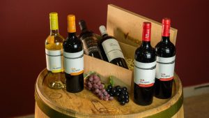 Vinhos S.A. lança kits especiais para brindar o Natal e o Réveillon