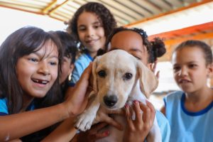 Secretaria se consolida como órgão de apoio a protetores de cães e gatos no DF