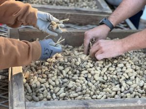 Como as Leis de Biodiversidade Estão Bloqueando a Ciência Necessária para Proteger a Natureza e Alimentar o Mundo