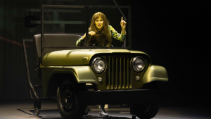 “Rita Lee – Uma Autobiografia Musical” abre sessão extra no dia 8 de fevereiro, às 16h30, em Brasília