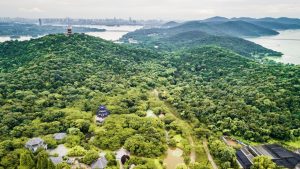 Buscas por vilas ecológicas crescem 30% e somam meio milhão de interesse online; veja as 6 comunidades mais pesquisadas