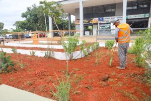 De cara nova, Setor Comercial Sul recebe ações contínuas de limpeza e urbanização