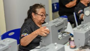 Projeto Flores do Cerrado realizará ação beneficente em instituições sociais do DF