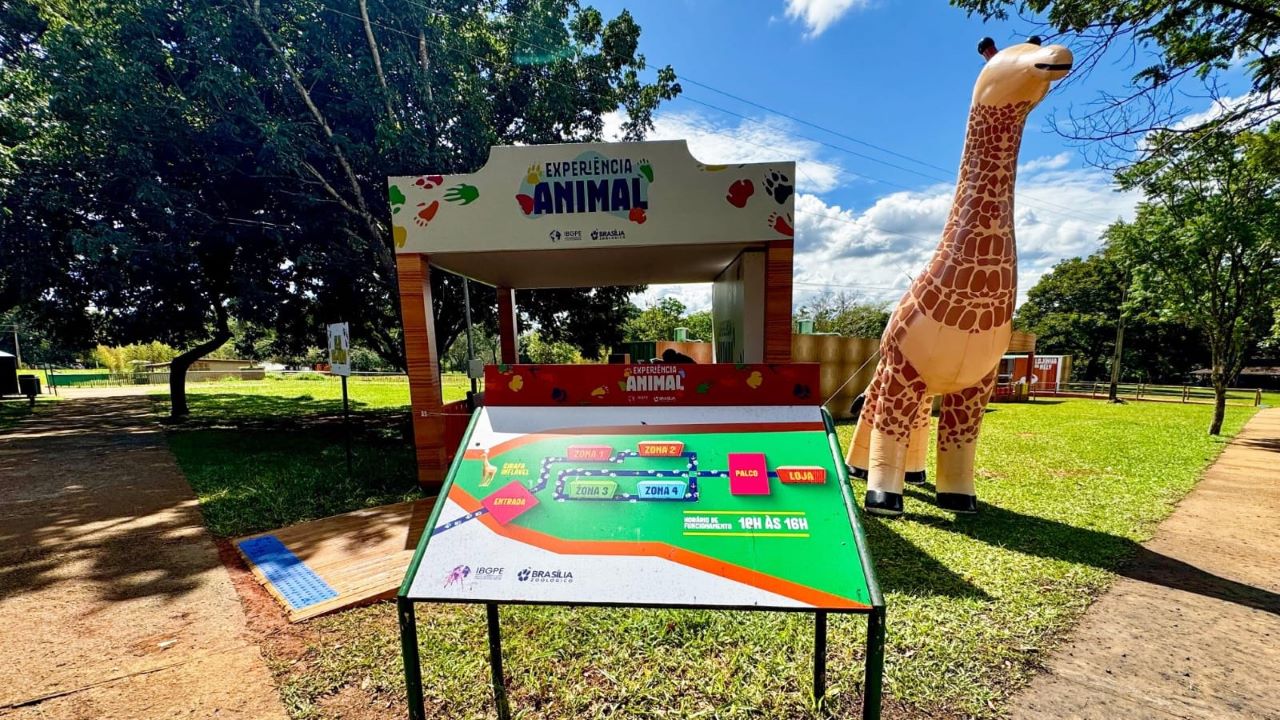 Exposição imersiva convida visitantes a sentir a vida selvagem no Zoológico de Brasília