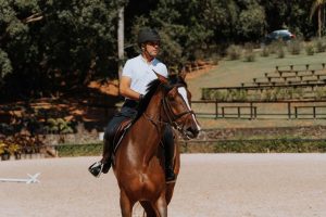 No Ano do Cavalo, o Fazenda da Matta lança haras assinado por Doda Miranda