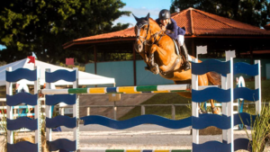 CNS Copa de Verão 2026 abre calendário de hipismo de salto da Federação Hípica de Brasília