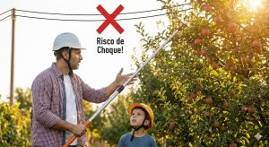 Colher frutas perto da fiação elétrica pode causar acidentes graves