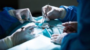 Brasil atualiza normas de bariátrica: intervenção excepcional em adolescentes pode evitar danos à saúde adulta